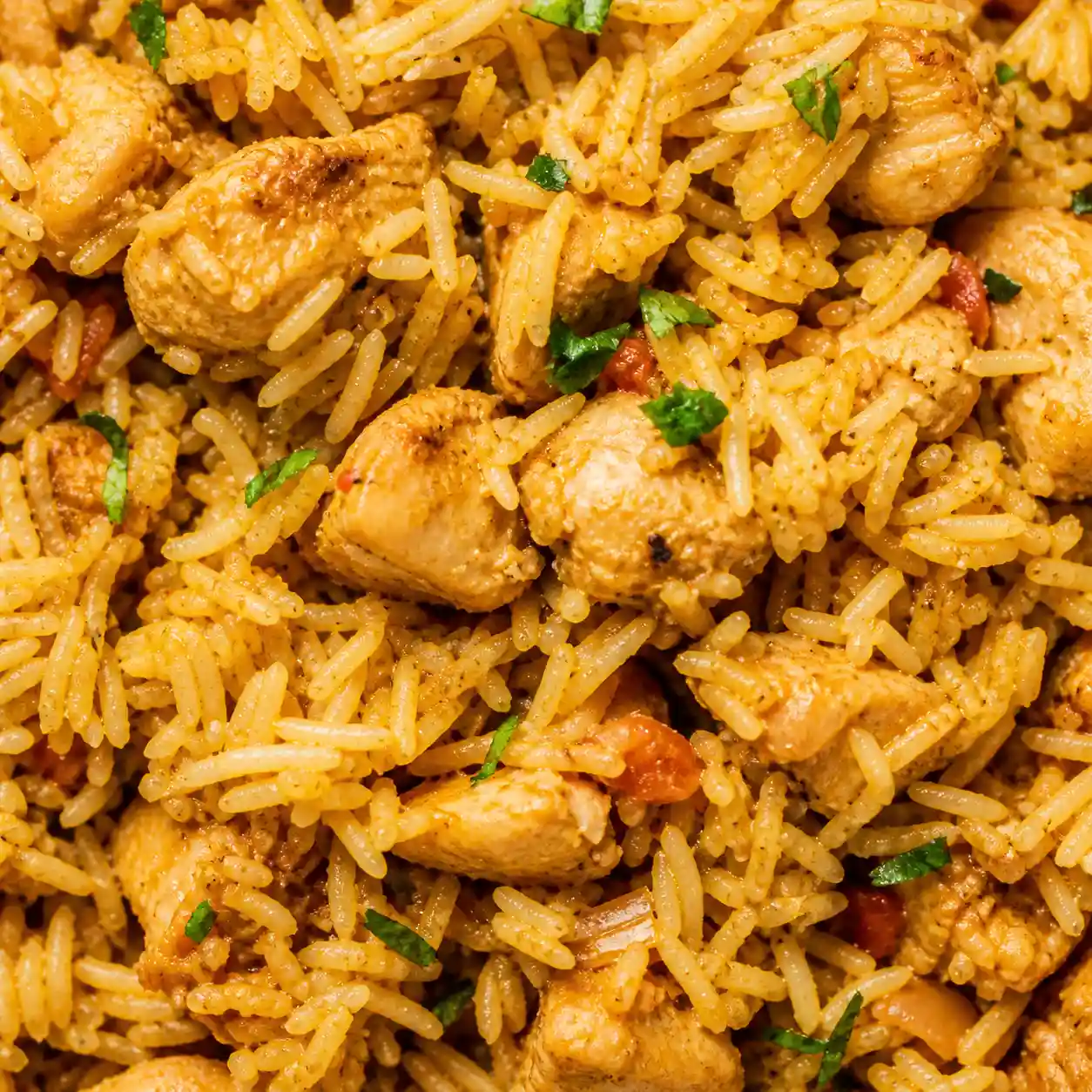 Pakistani Biryani recipes